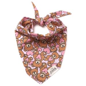 Bandanas | Dog Bandana TEDDY PINK Accessoires Bandanas