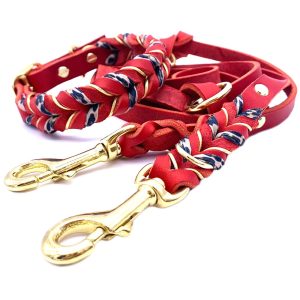 Set | Dog Set LEO RED Lederaccessoires Dog