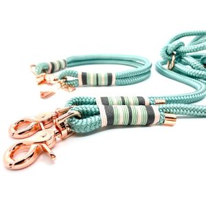 Tauleinen und Halsbänder | Dog Set SEA GREEN Set Dog